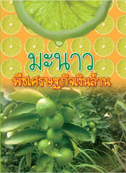 มะนาว พืชเศรษฐกิจเงินล้าน