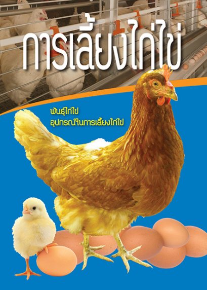 การเลี้ยงไก่ไข่