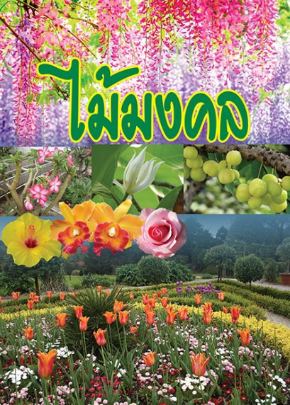 ไม้มงคล