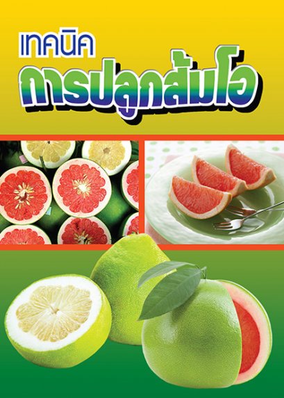 เทคนิคการปลูกส้มโอ