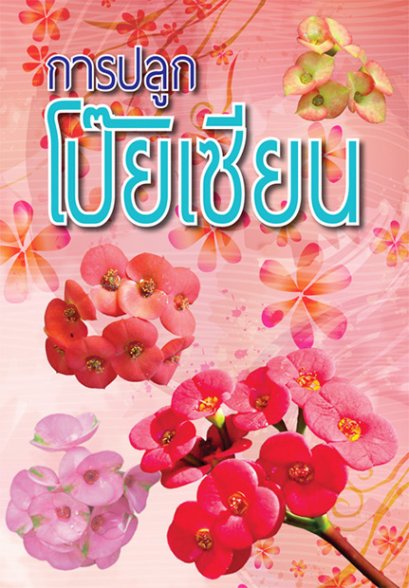 การปลูกโป๊ยเซียน