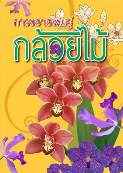 การขยายพันธุ์กล้วยไม้