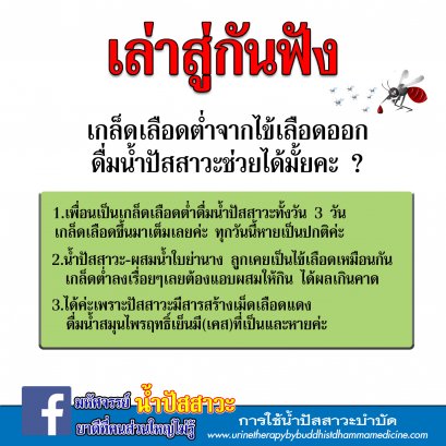 เกล็ดเลือดต่ำจากไข้เลือดออกดื่มน้ำปัสสาวะช่วยได้มั้ยค่ะ?