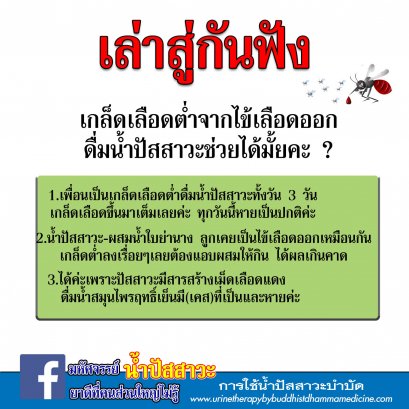 ไข้เลือดออก น้ำปัสสาวะช่วยคุณได้