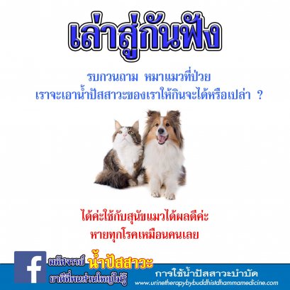 ใช้น้ำปัสสาวะรักษาสัตว์ ได้ไหม ?