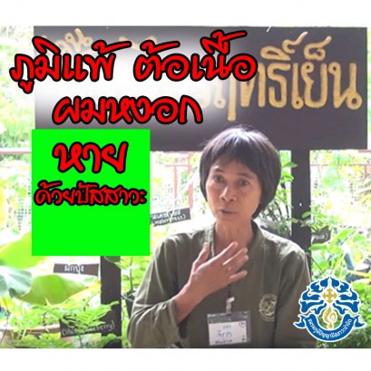 รักษาภูมิแพ้ ต้อเนื้อ ใช้ทากันแดด แก้ผมหงอก หายด้วยวิธีนี้ (คูณจิตรา พรหมโคตร)