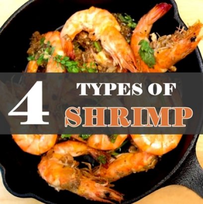 มารู้จักชนิดของกุ้งกันเถอะ