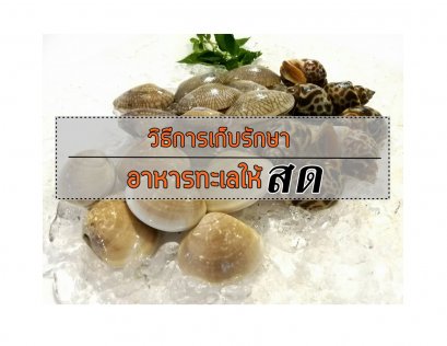 วิธีการเก็บรักษาอาหารทะเลให้สด