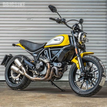 Ducati Scrambler Icon Yellow 800 CPO ( Certified Pre-Owned )