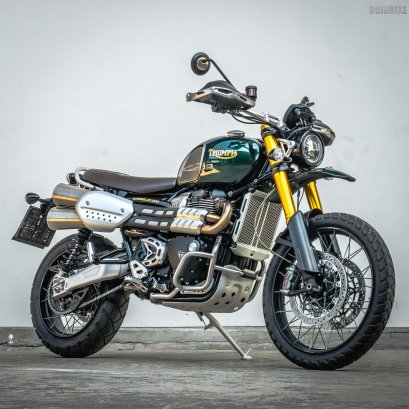 Triumph Scrambler 1200 SteveMcqueen Edition