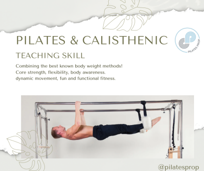 Hybrid  Pilates & Calisthenics Training