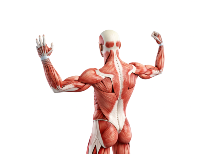 Knowing Your Body