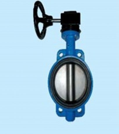 Globe Valve