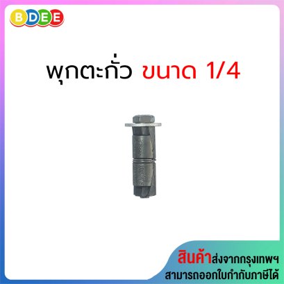 ชุดพุกตะกั่วพร้อมสกรู 1/4 จำนวน 1 ตัว