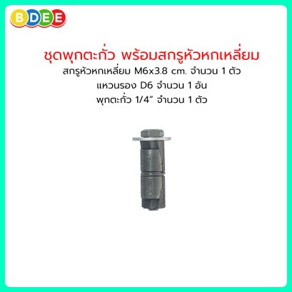 ชุดพุกตะกั่วพร้อมสกรู 1/4 จำนวน 1 ตัว