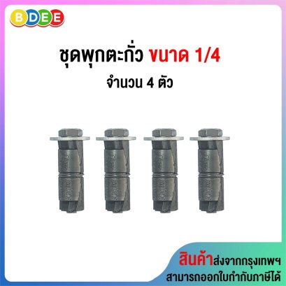 ชุดพุกตะกั่วพร้อมสกรู 1/4 จำนวน 4 ตัว/ชุด
