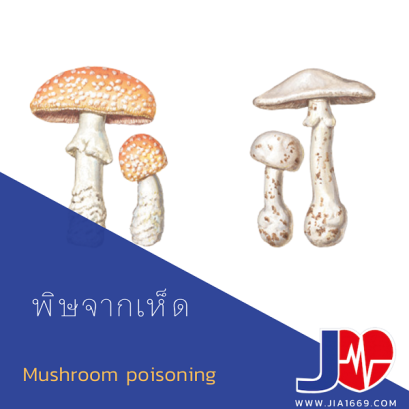 พิษจากเห็ด 