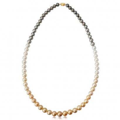 11.41 mm to 14.45 mm South Sea and Tahitian Pearl Shikisia Necklace