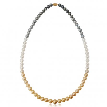 11.76 mm to 14.06 mm South Sea and Tahitian Pearl Shikisia Necklace