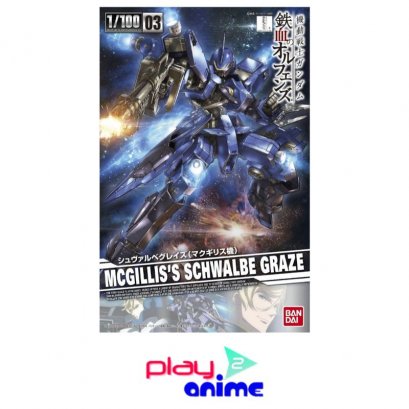 1/100 Mcgillis - Schwalbe Graze