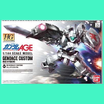HG AGE Genoace Custom