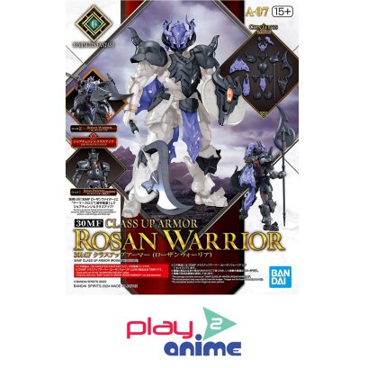 30MF CLASS UP ARMOR (ROSAN WARRIOR)