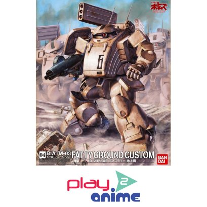 1/20 FATTY LAND USE (PAILSEN FILES VER.)