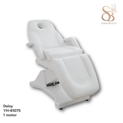 เตียงทรีทเม้นท์ไฟฟ้า 1 มอเตอร์