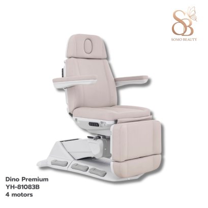 เตียงทรีทเม้นท์ไฟฟ้า