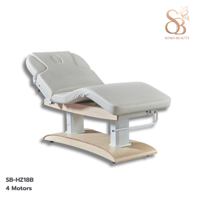 เตียงสปาไฟฟ้า