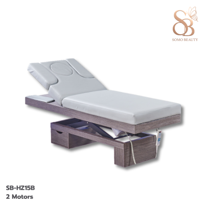 เตียงสปาไฟฟ้า