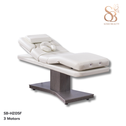 เตียงสปาไฟฟ้า