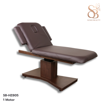 เตียงสปาไฟฟ้า