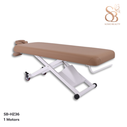 เตียงสปาไฟฟ้า