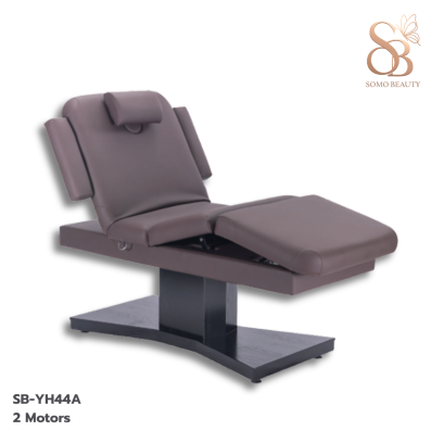 เตียงสปาไฟฟ้า