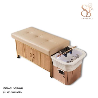 เตียงสปาสระผม