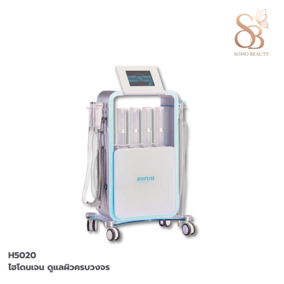 เครื่องไฮโดรเจน