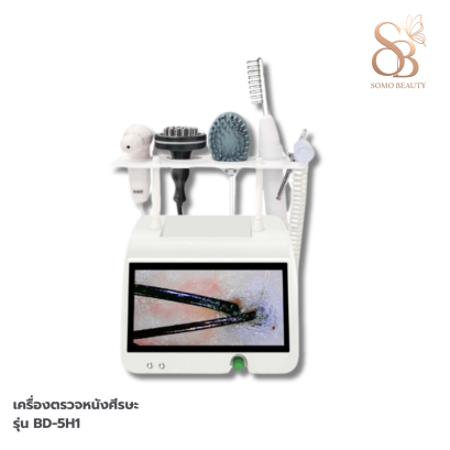 เครื่องตรวจหนังศีรษะ