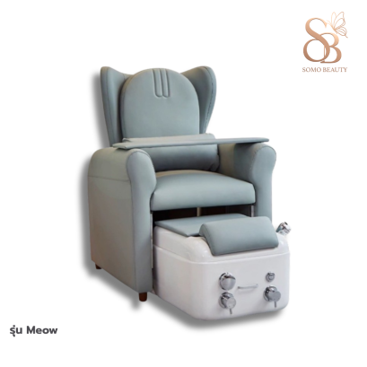 เก้าอี้สปาเท้า