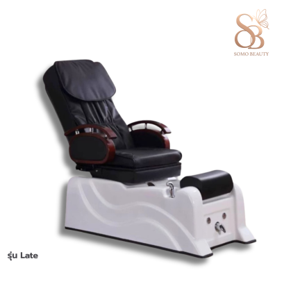 เก้าอี้สปาเท้า