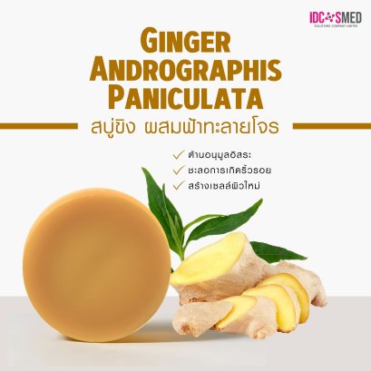 สบู่ขิง ฟ้าทะลายโจร (GINGER  ANGROGRAPHIS PANICULATA)