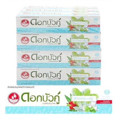 Twin Lotus Herbal Toothpaste Fresh & Cool 40g x 12