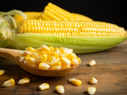 Corn, Indian corn, Maize