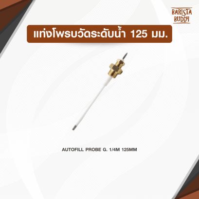 แท่งโพรบวัดระดับน้ำ 125มม.