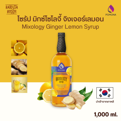 Mixology Ginger &amp; Lemon Syrup ไซรัป มิกซ์โซโลจี้ จิงเจอร์เลม่อน