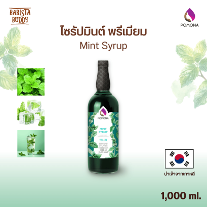 Mint Syrup ไซรัปมินต์