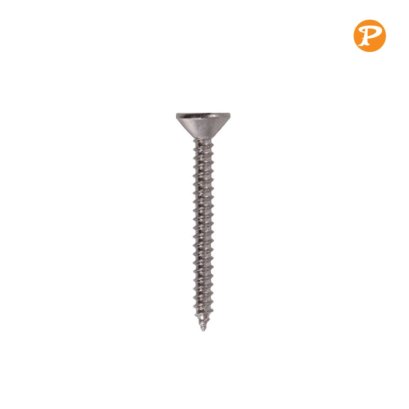 สกรูเกลียวเหล็ก หัว F เบอร์#6 แพ็คกล่อง