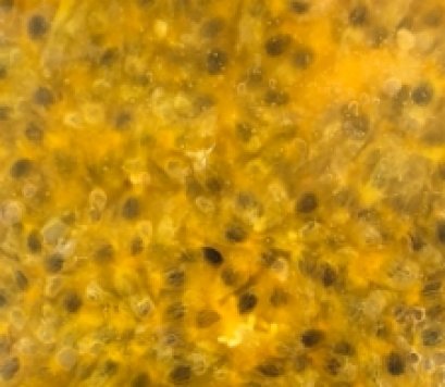 เสาวรสแช่แข็ง แบบมีเมล็ด 1 กก.