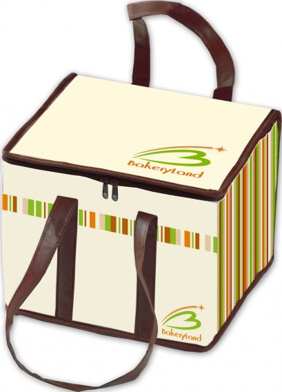 BL3101 Cool Bag 30x30x30 cm