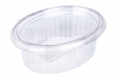 สลัดวงรีใหญ่@50